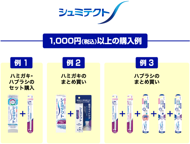 1000円以上の購入例