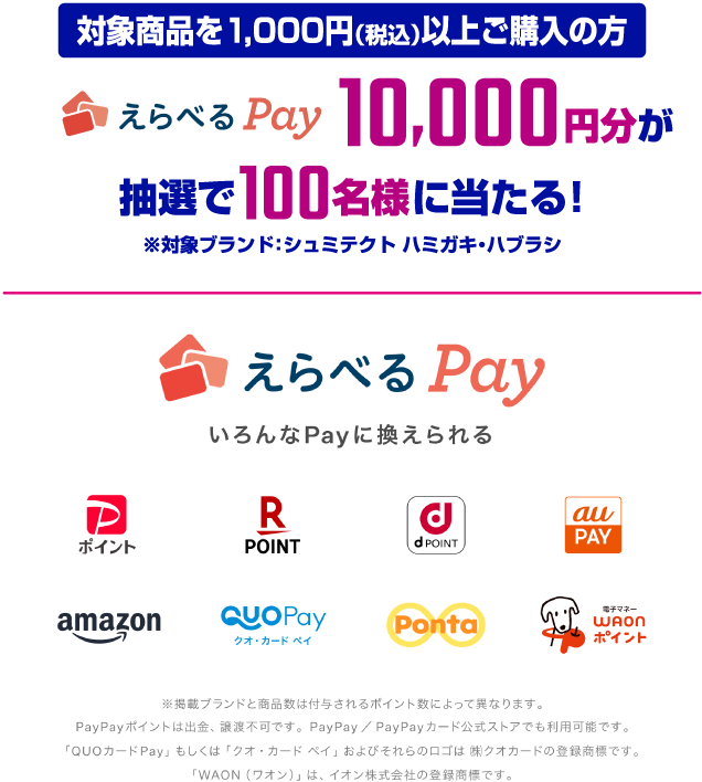 1000円以上の購入例